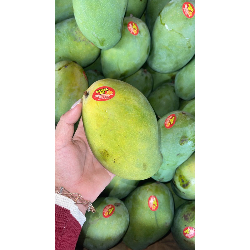 

MANGGA HARUM MANIS