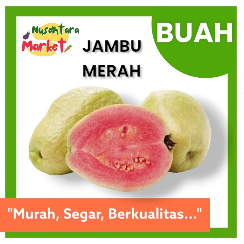 

JAMBU MERAH BIJI | 1KG | NUSANTARA MARKET | SURABAYA