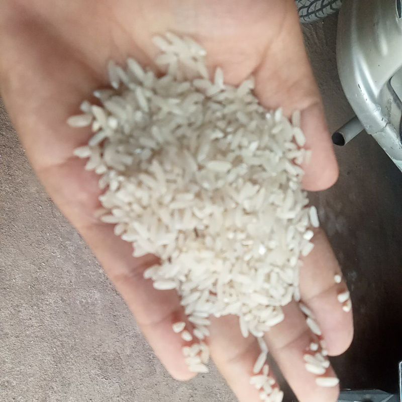 

BERAS 1 KG