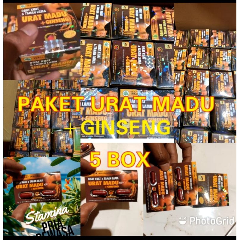 PAKET KAPSUL UM+ GINSENG 5 BOX ORIGINAL 100%