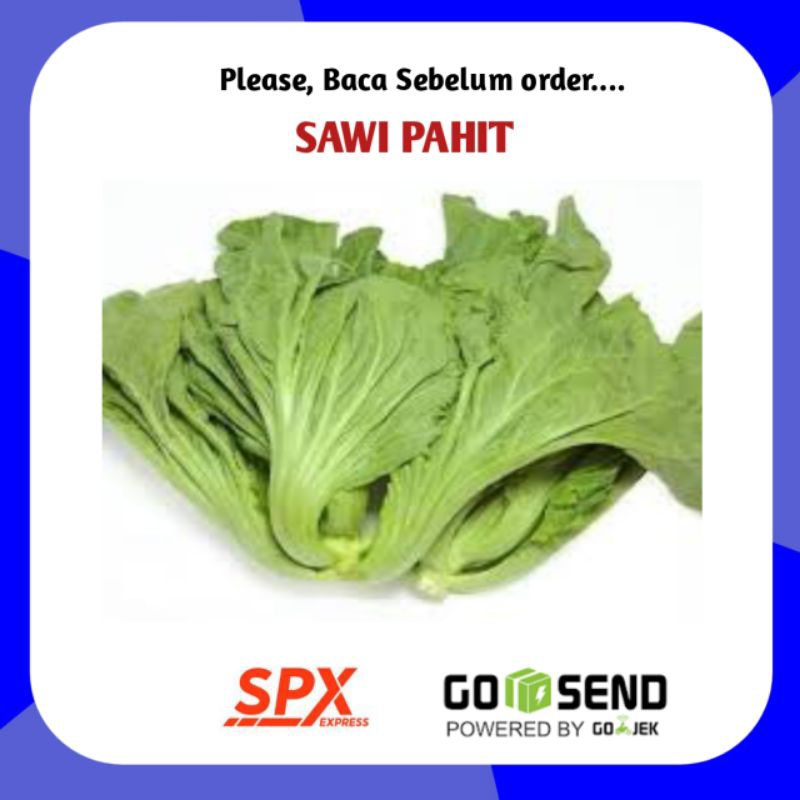 

Sawi Pahit Segar Per 500gram - Toko Sayur Segar Palembang Online