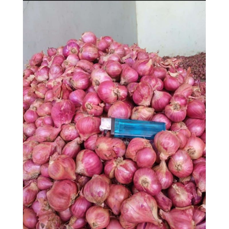 

Bawang Merah Bima A Super Besar 500gr/1kg