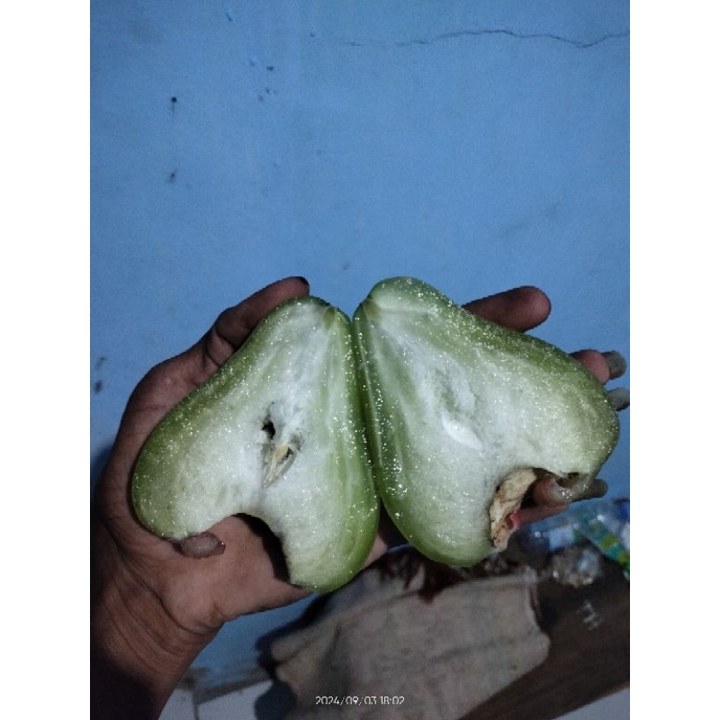 entres jambu air kiojok