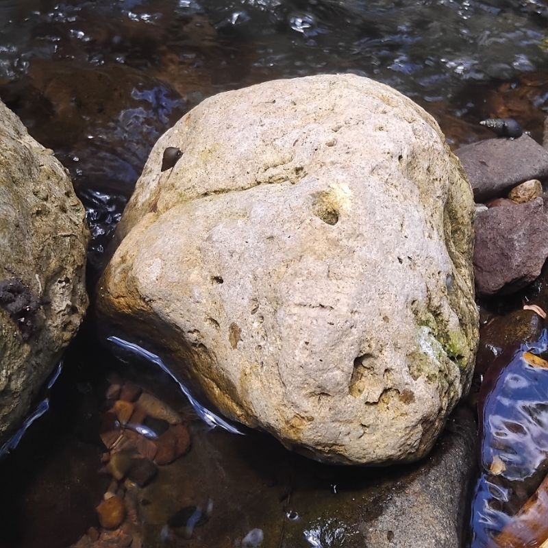 Batu besar 1kg kebutuhan aquascape dan aquarium