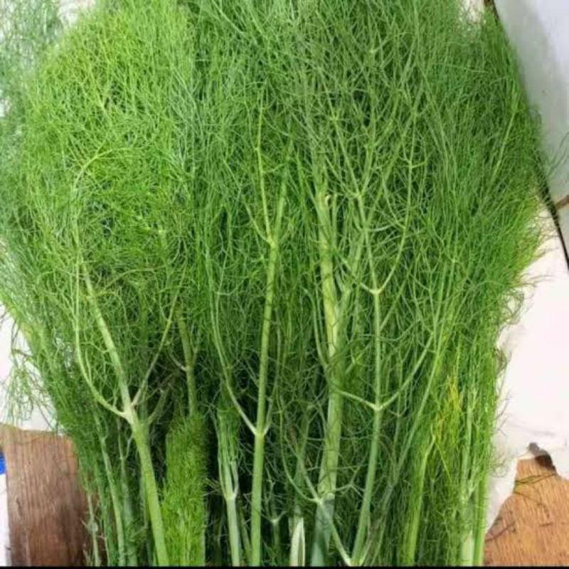 

daun Dil berat 1kg