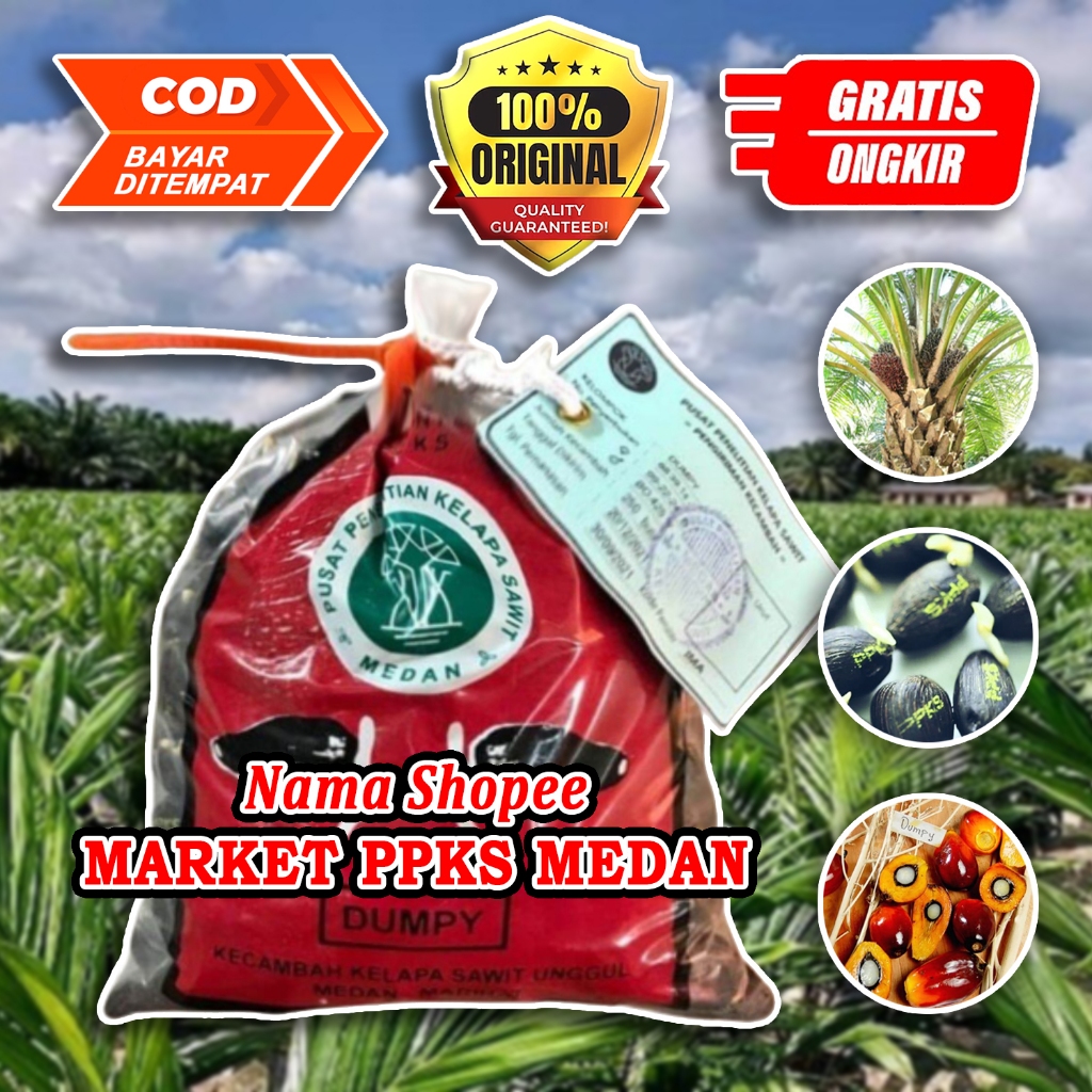 PPKS DyxP DUMPY UNGGUL MEMILIKI SERTIFIKAT