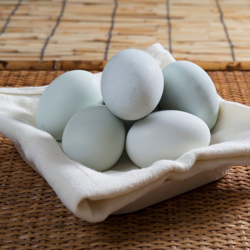 

Telur Bebek Mentah Dijamin Fresh Langsung dari Peternak