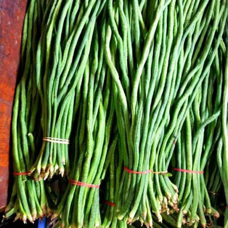 

Kacang Panjang 1 Ikat 250g