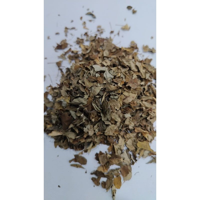 1000 G GR GRAM 1KG 1 KG DAUN KELOR KERING MORINGA OLEIFERA MERUNGGAI