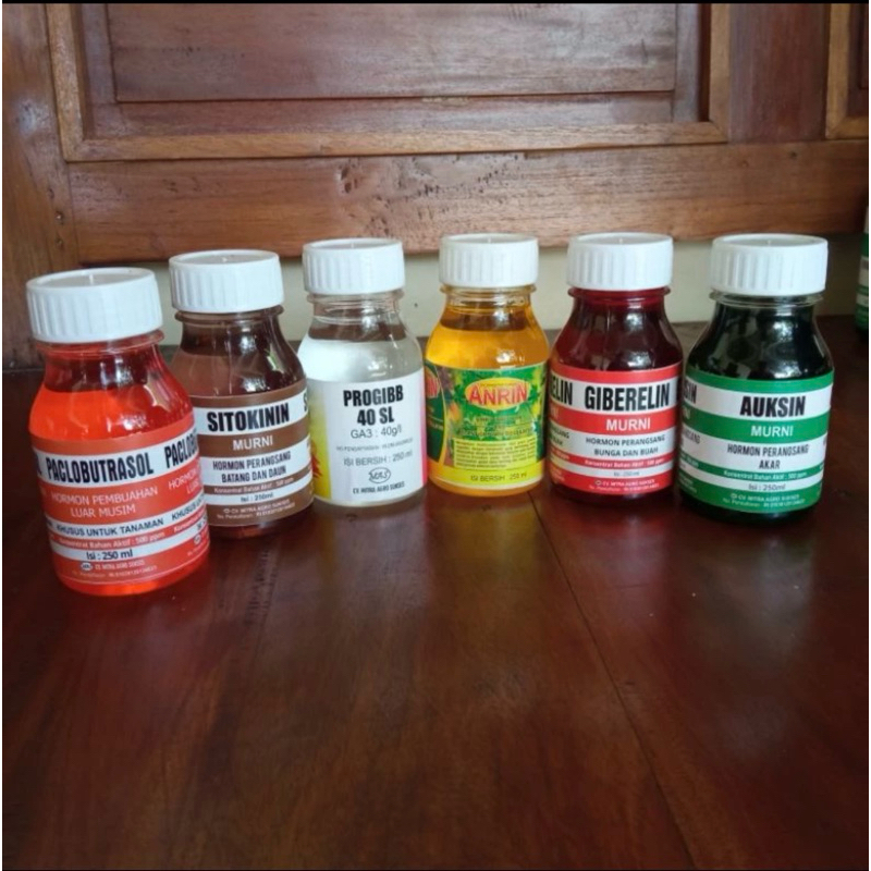 ZPT Ukuran 500ml AUKSIN GIBERELIN SITOKININ ANRIN PACLOBUTRASOL PROGIBB