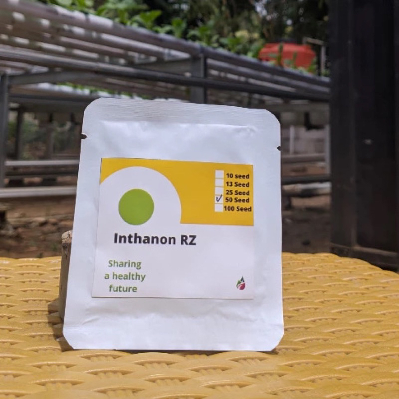 Promo Benih melon Inthanon RZ repack 50 biji
