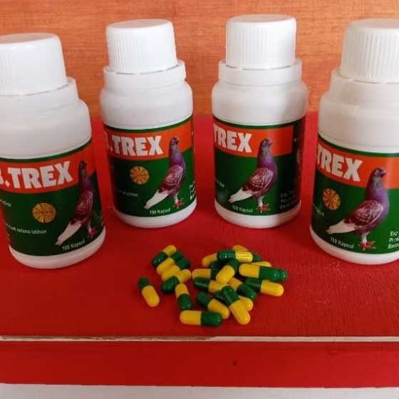 B. TREX BARON VITAMIN DOPING MERPATI LOMBA