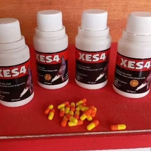 XES4 BARON VITAMIN DOPING MERPATI KOLONG