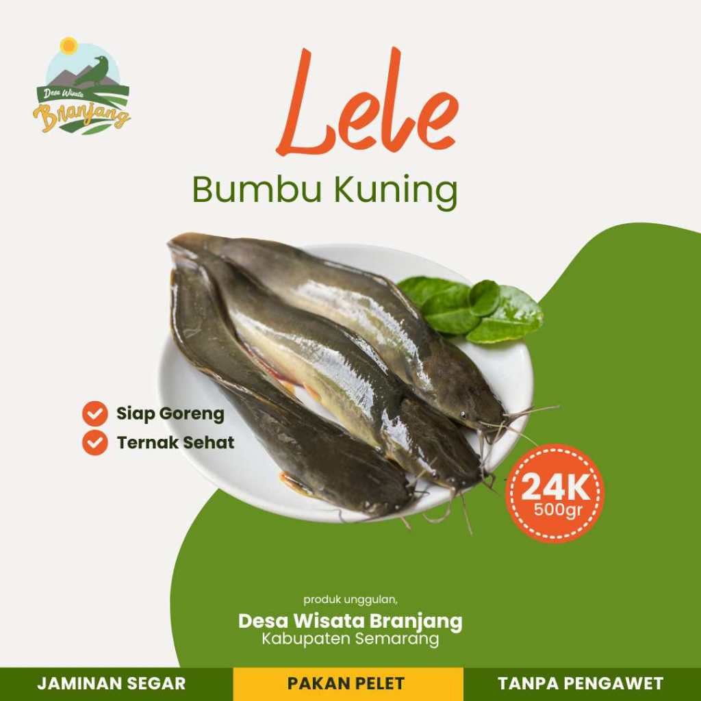 

Lele Bumbu Kuning Bebas Pengawet