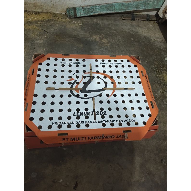 Dod/Bibit Bebek Peking Lengki