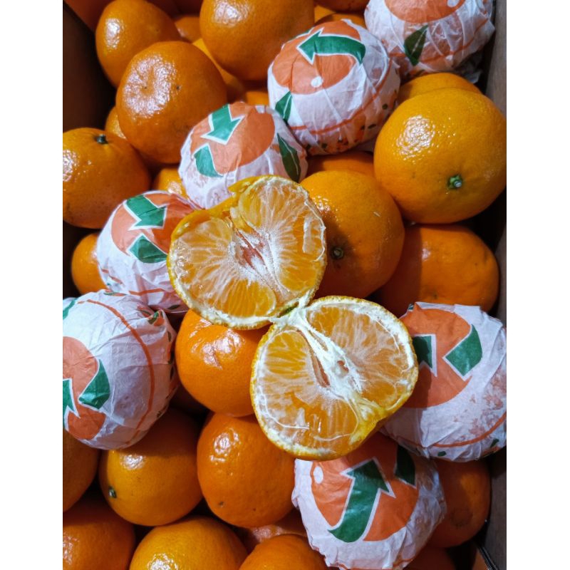

JERUK WOGAN CLEMENVIL | Jeruk mandarin | jeruk wogan bandung