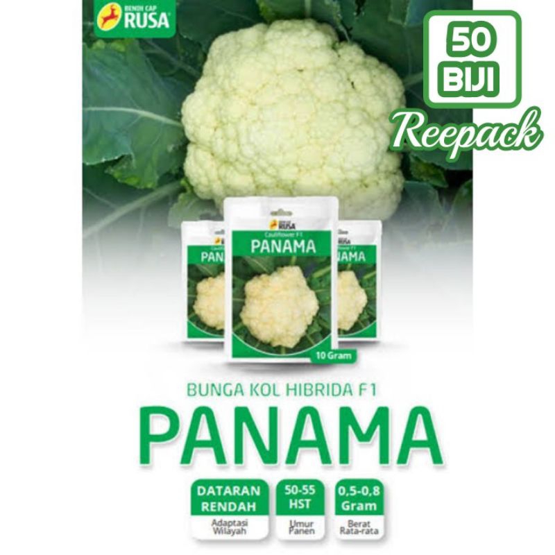 50 Biji Bunga Kol PANAMA | Benih Bunga Kol | Benih Kembang Kol Panama