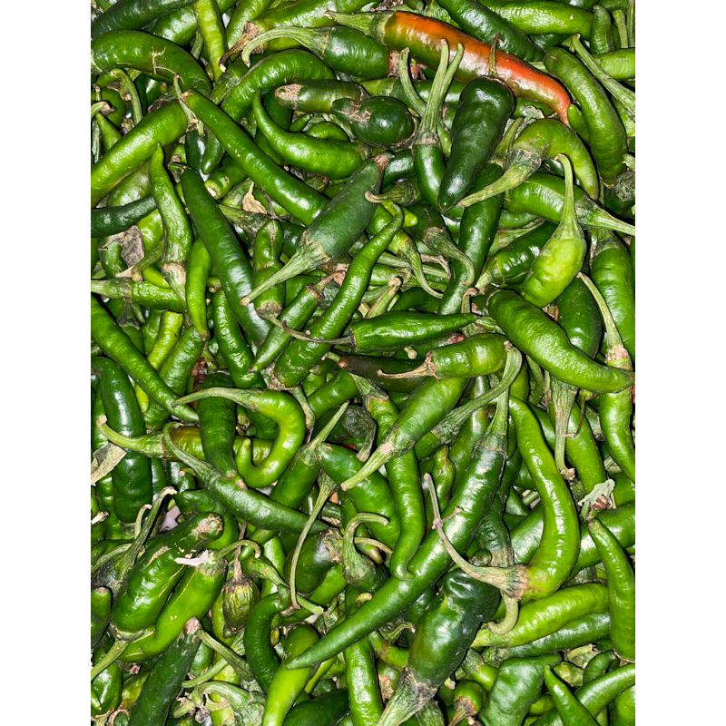

CABE / CABAI LOMBOK HIJAU 500 GRAM MURAH