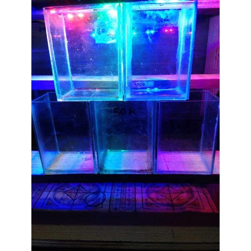 aqurium mini 5