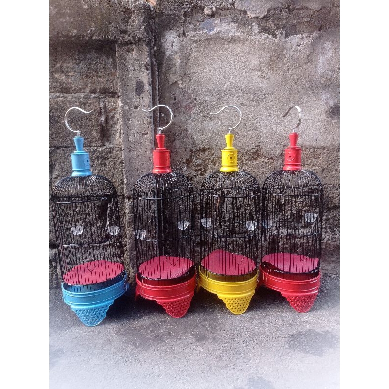 KANDANG PLECI HELOPED MURAH