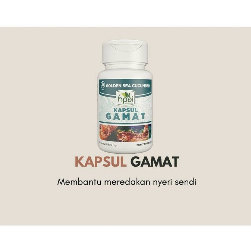 Gamat HNI | Meredakan nyeri di persendian