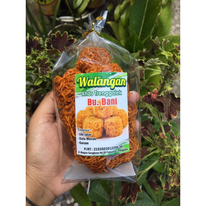 

WALANGAN KHAS TRENGGALEK