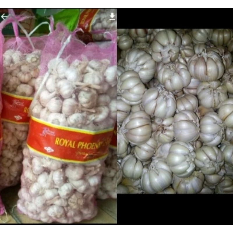 

TERMURAH!! BAWANG PUTIH HONAN / SINCO (kotor) 1KG