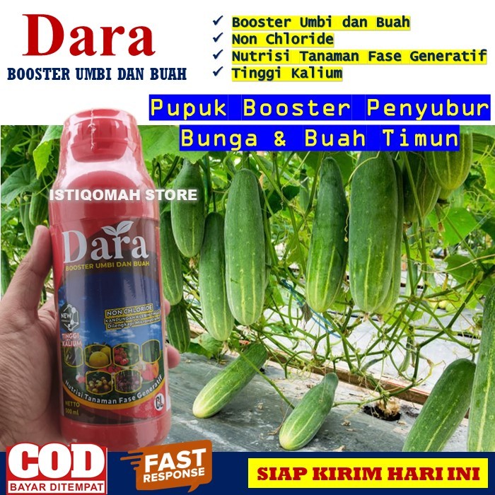 Pupuk Booster Penyubur Bunga dan Buah Tanaman Timun DARA 500ML Pelebat Buah Timun Mentimun Ampuh