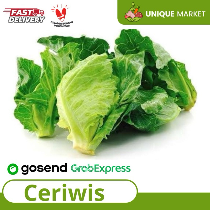 

Cewiwis
