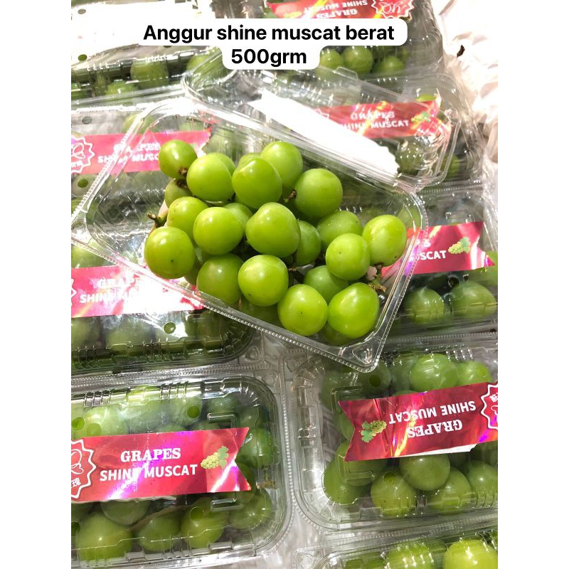 

Anggur shine hine muscat china berat 500grm / pack