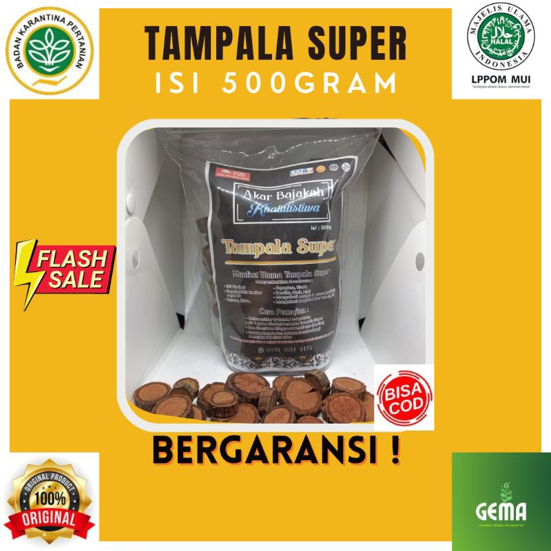 

Akar Bajakah Tampala Super / Kayu Bajakah Tampala Super Grade A+ (Asli Dari Kalimantan) BERGARANSI !