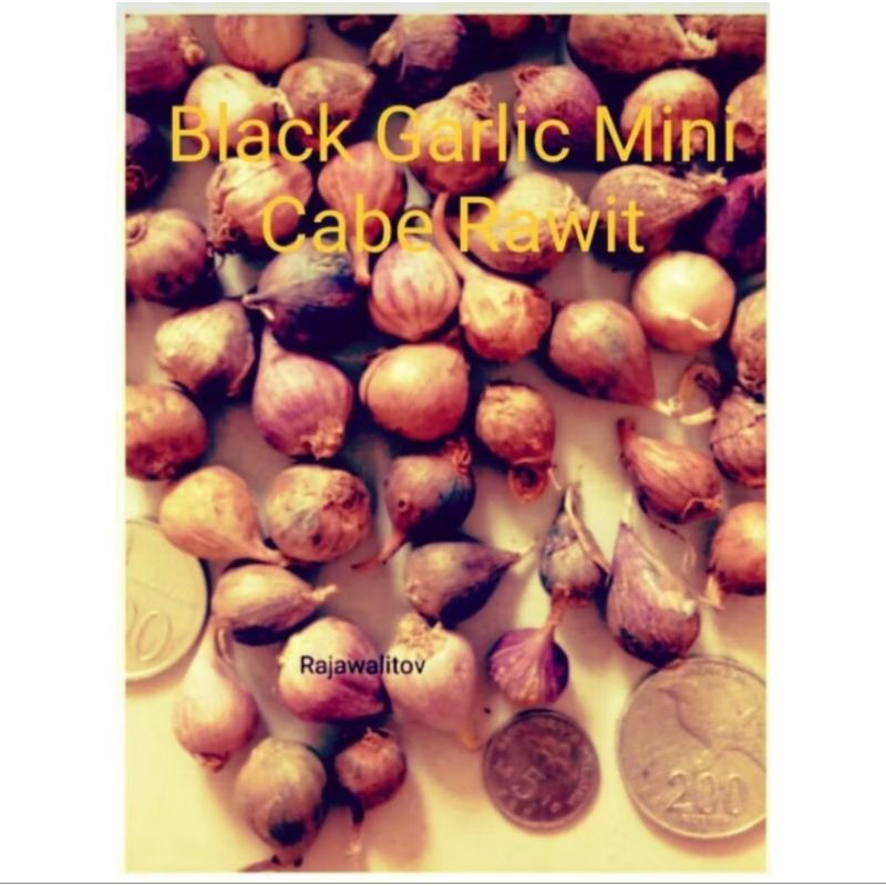 

Bawang Hitam Black Garlic Mini Cabe Rawit