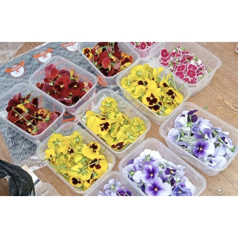 

Edible Flower Pansy