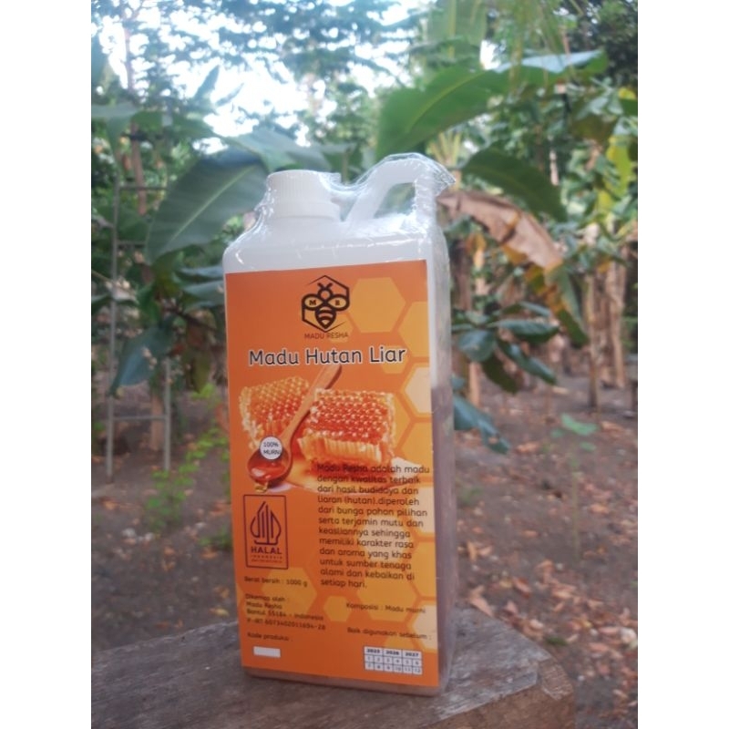 

Madu Resha Hutan Liar 100% tanpa campuran untuk kesehatan