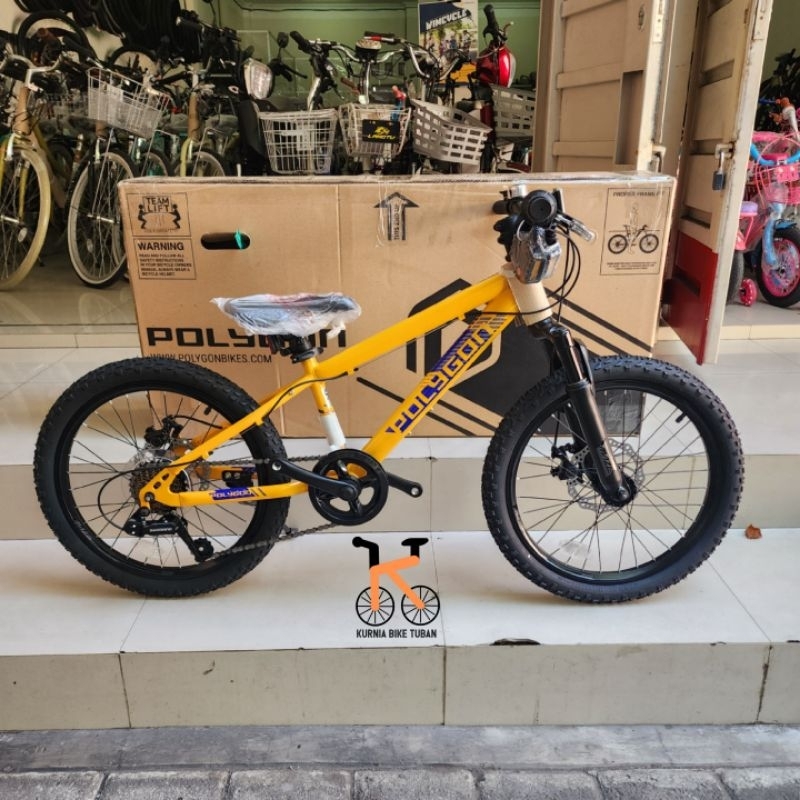 Sepeda Anak MTB 20 Polygon Maze