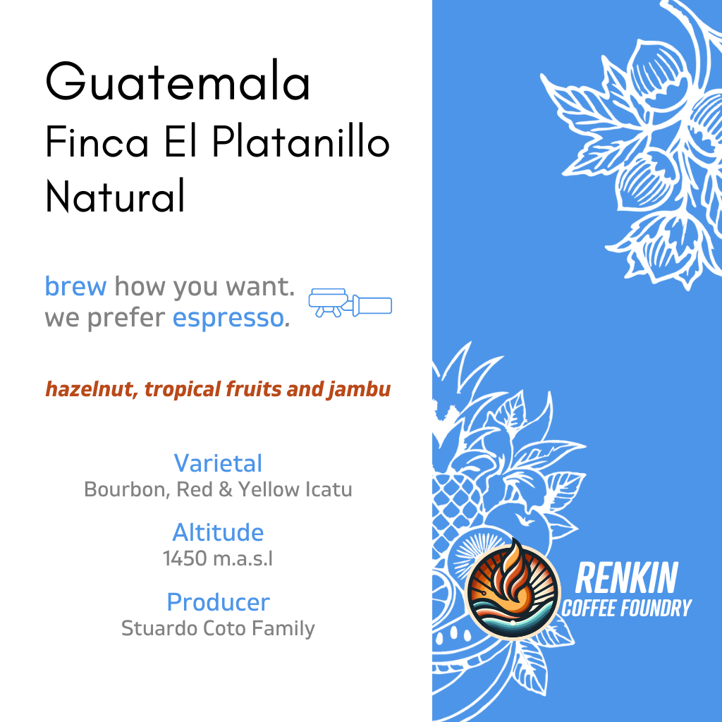 

Guatemala Finca El Platanillo Natural - Specialty Coffee - Renkin Coffee