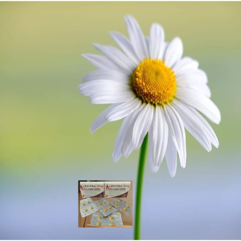 

herbal menambah stamina original