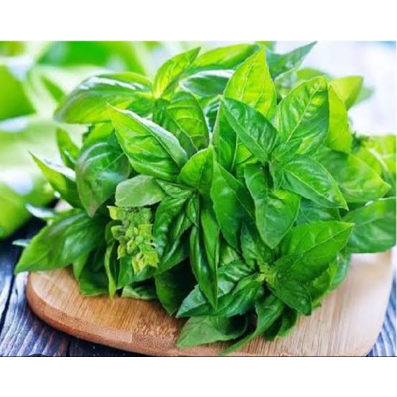 

surawung atau daun kemangi