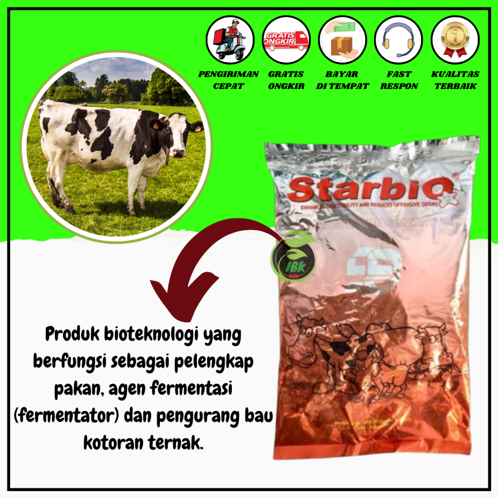 STARBIO PROBIOTIK UNTUK TERNAK RUMINANSIA SAPI KAMBING DOMBA KERBAU