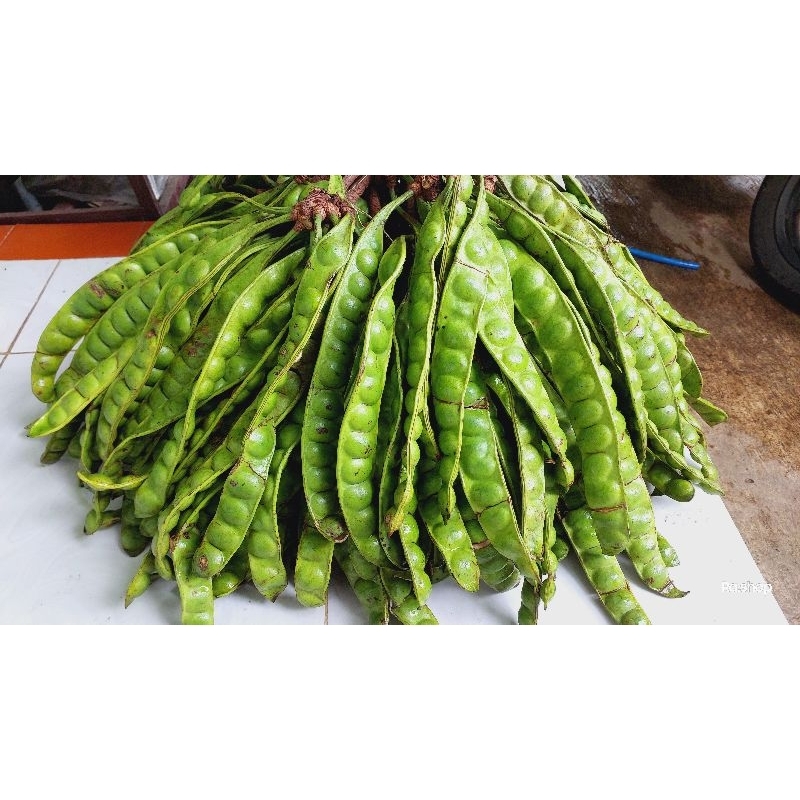 

Pete/pete fresh/pete mentul