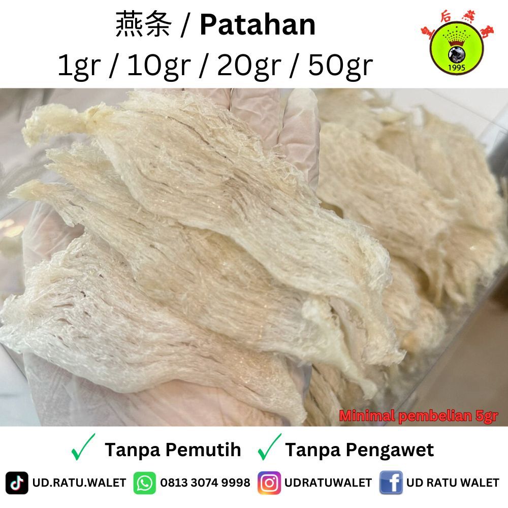 KERING & CUCI BERSIH Natural Sarang Burung Walet Patahan