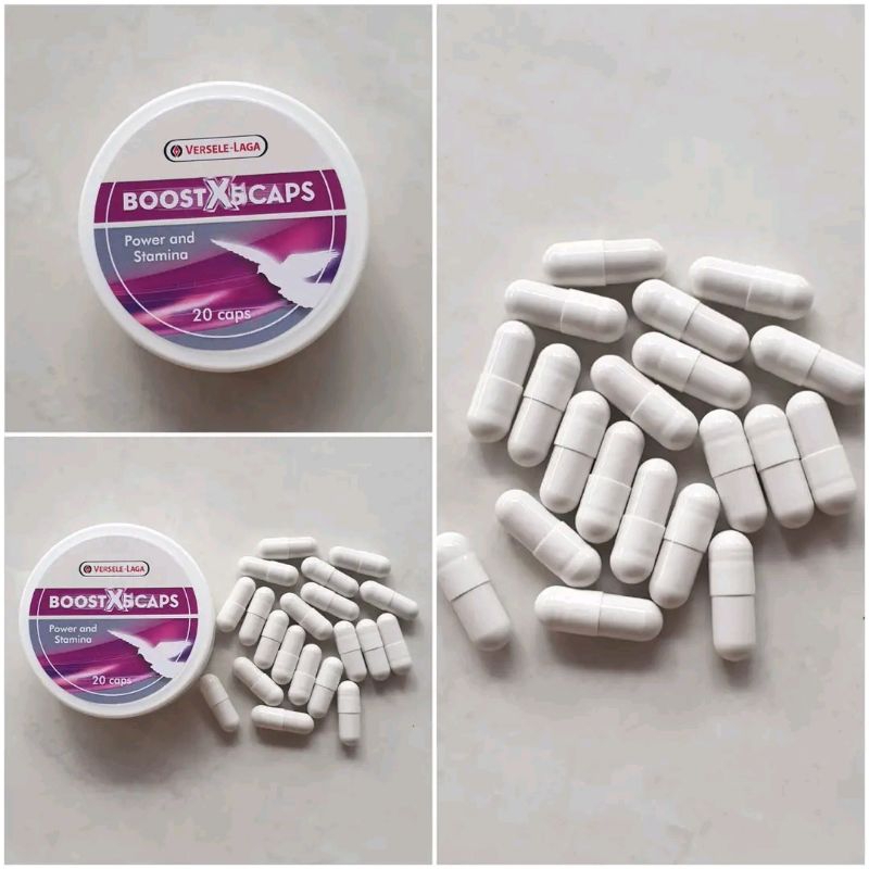 BOOSTX5 CAP VERSELE LAGA VITAMIN MERPATI