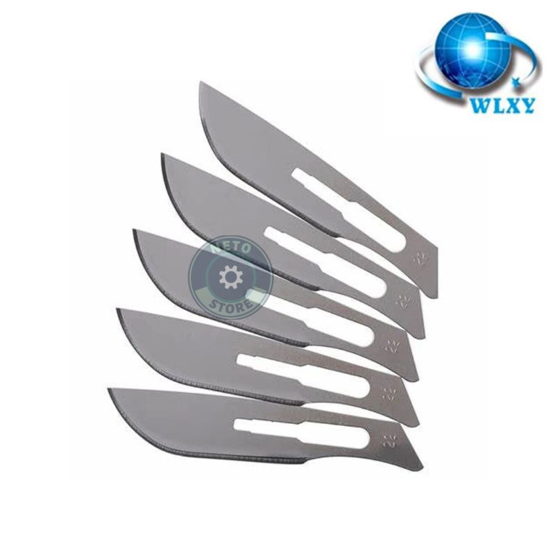 

MATA PISAU UKIR WLXY NO.10 (5 IN 1) ORIGINAL