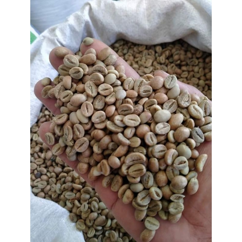 

Roastery Nexus Coffe|Coffee Robusta #coffee #coffebean #Robustacoffe #Robusta