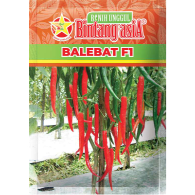 Benih Cabe BALEBAT F1 10 Gr - Bibit CABAI MERAH BESAR (CMB) | PUNDI REJEKI | PRJ