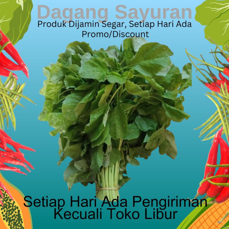 

BAYAM HIJAU/SAYUR SEGAR/SAYURAN SEGAR/JUAL SAYUR/JUAL SAYURAN/DAGANG SAYUR/DAGANG SAYURAN/PEDAGANG SAYUR/PEDAGANG SAYURAN/PENJUAL SAYUR/PENJUAL SAYURAN/SERPONG/BSD/BINTARO/CIPUTAT/PAMULANG/PONDOK AREN/TANGERANG SELATAN/TANGSEL