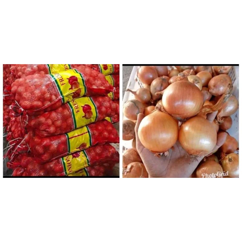 

bawang Bombay 500 gram