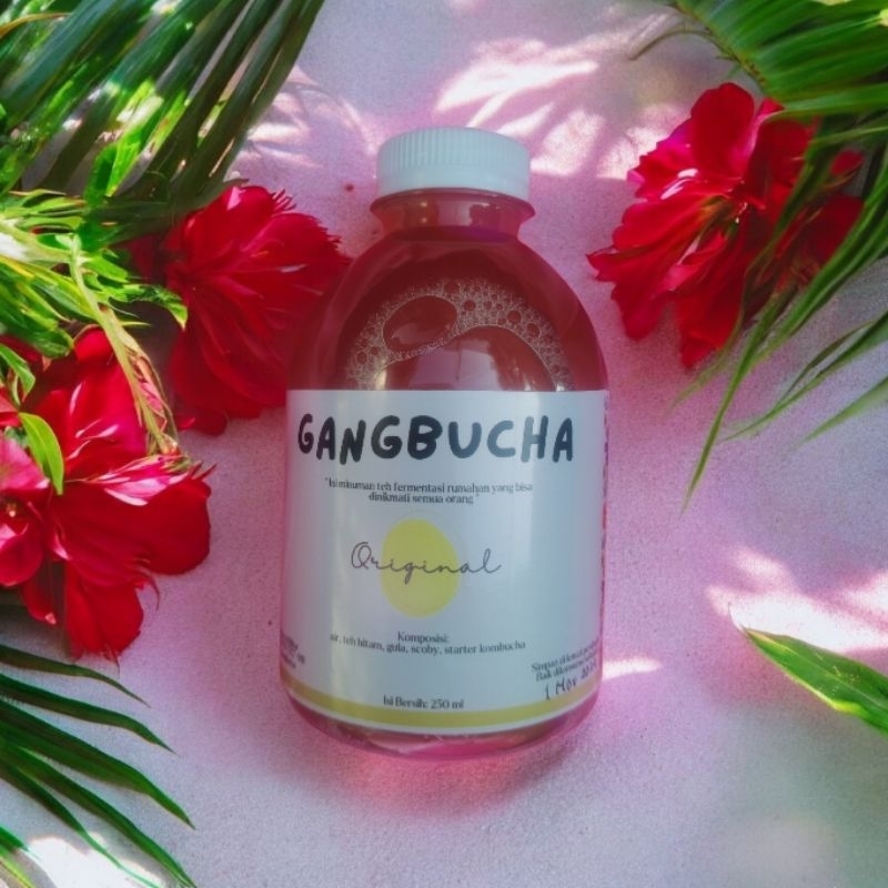 

Gangbucha (Kombucha)