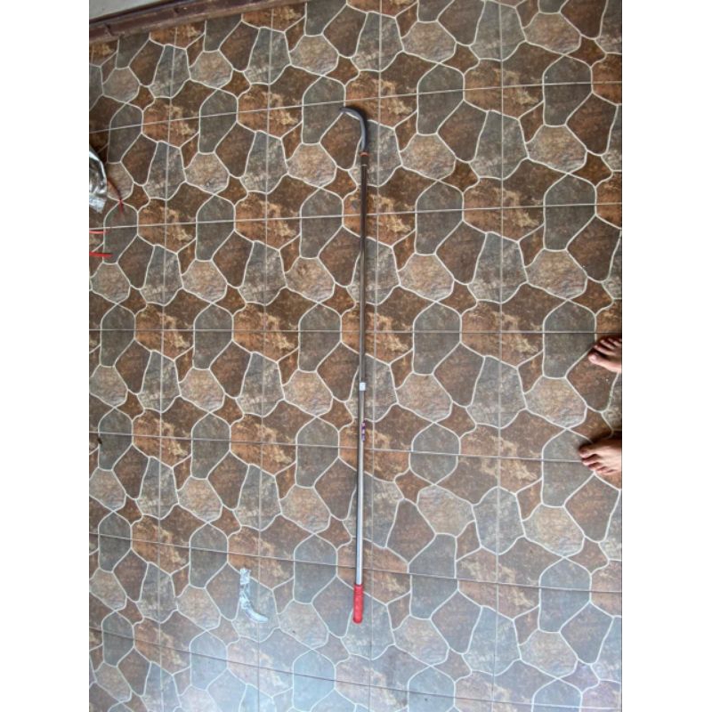 sabit-kastrasi sawit dan buah-buahan