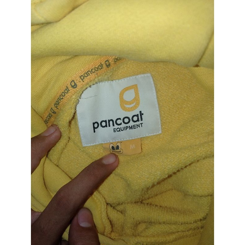 pancoat landak kuning